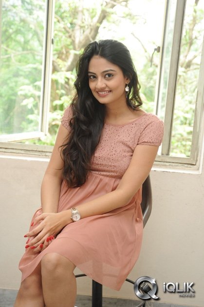 Nikitha-Narayan-at-Ladies-and-Gentlemen-Movie-Song-Launch